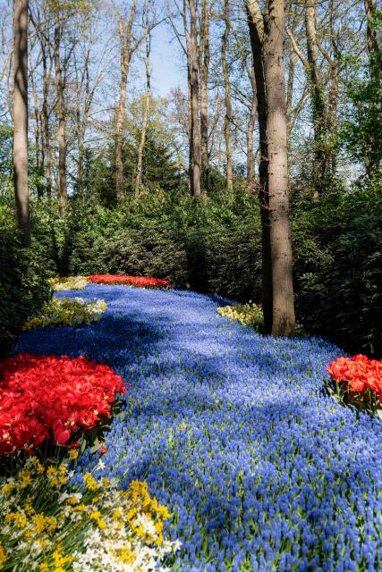 This photograph shows a view of different types of flowers at the Keukenhof botanical garden in Lisse on April 22, 2026. (Photo by Lina Selg / AFP)