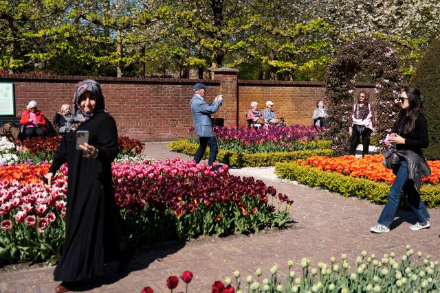 Tourists visit the Keukenhof botanical garden in Lisse on April 22, 2026. (Photo by Lina Selg / AFP)