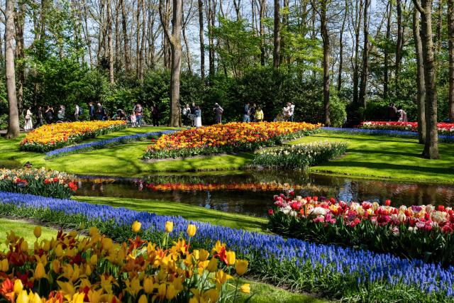 This photograph shows a view of different types of flowers at the Keukenhof botanical garden in Lisse on April 22, 2026. (Photo by Lina Selg / AFP)