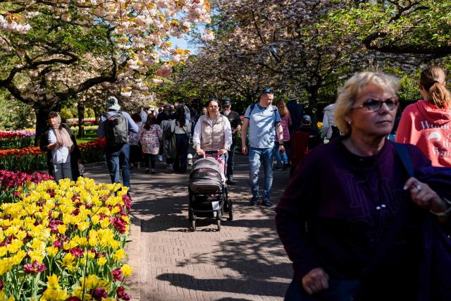Visitors walk past different types of flowers at the Keukenhof botanical garden in Lisse on April 22, 2026. (Photo by Lina Selg / AFP)