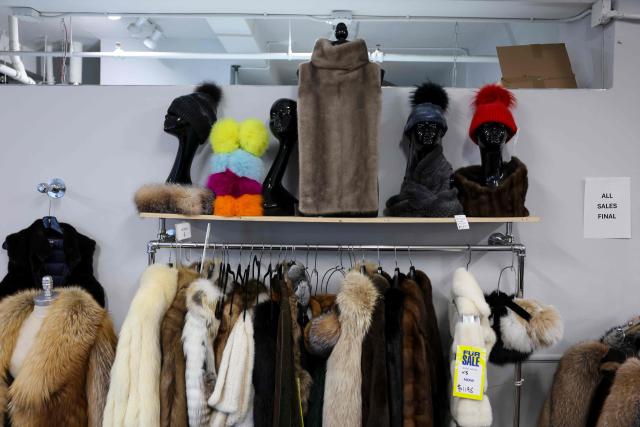 Fur coats and other fur items hang for sale at the Madison Avenue Furs shop in New York City, on March 10, 2026. New York is thawing out after a particularly cruel winter that's included debates over fur's revival as influencers push the look and retail sites report a jump in searches for vintage pieces. Business owners like Larry Cowit, who inherited and runs his family's Madison Avenue Furs, are celebrating a sales spike. (Photo by ANGELA WEISS / AFP)