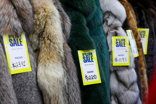 Fur coats hang for sale at the Madison Avenue Furs shop in New York City, on March 10, 2026. New York is thawing out after a particularly cruel winter that's included debates over fur's revival as influencers push the look and retail sites report a jump in searches for vintage pieces. Business owners like Larry Cowit, who inherited and runs his family's Madison Avenue Furs, are celebrating a sales spike. (Photo by ANGELA WEISS / AFP)