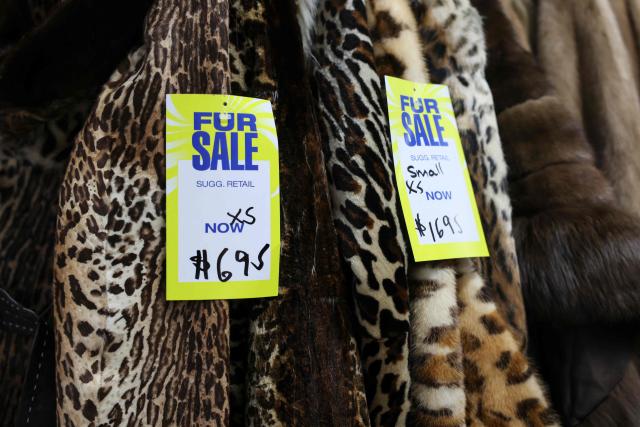 Fur coats hang for sale at the Madison Avenue Furs shop in New York City, on March 10, 2026. New York is thawing out after a particularly cruel winter that's included debates over fur's revival as influencers push the look and retail sites report a jump in searches for vintage pieces. Business owners like Larry Cowit, who inherited and runs his family's Madison Avenue Furs, are celebrating a sales spike. (Photo by ANGELA WEISS / AFP)
