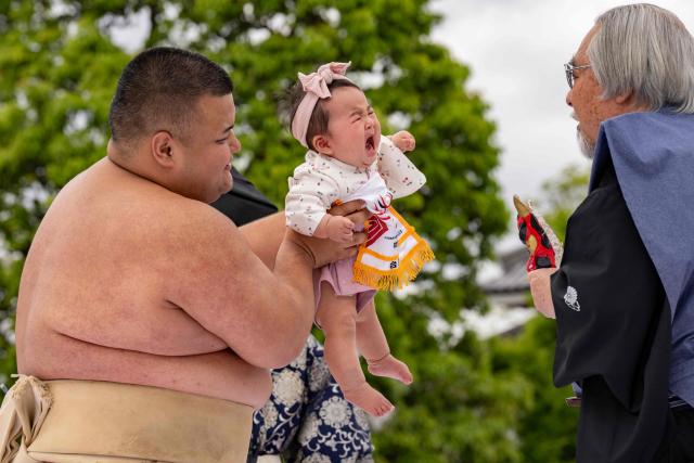 A sumo wrestler holds a child during the "crying baby sumo" match at Sensoji temple in Tokyo on April 25, 2026. Japanese parents believe that sumo wrestlers can help make babies cry out a wish to grow up with good health. (Photo by Yuichi YAMAZAKI / AFP)