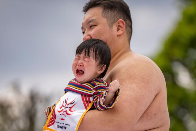 A sumo wrestler holds a child during the "crying baby sumo" match at Sensoji temple in Tokyo on April 25, 2026. Japanese parents believe that sumo wrestlers can help make babies cry out a wish to grow up with good health. (Photo by Yuichi YAMAZAKI / AFP)