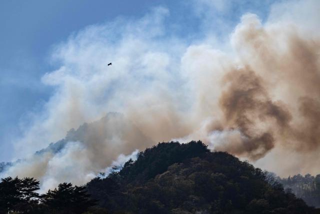 A bird flies over the top of a mountain burning with a forest fire near the town of Otsuchi in Iwate Prefecture on April 25, 2026. Hundreds of firefighters were battling wildfires in the forests of northern Japan on April 25, as authorities urged more than 3,200 people to evacuate from their homes, government officials said. (Photo by ANDREW CABALLERO-REYNOLDS / AFP)