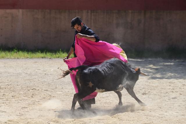 French matador Carlos Olsina attends a tienta at the Ganaderia (ranch) Marge in Vendres, near Beziers, Southern France on April 25, 2025. A tienta de toros (more commonly called tienta) is a practice within bull breeding, is a test carried out on a ranch to evaluate the cows’ behaviour, nobility, strength, and way of charging are tested. This test serve to select the mothers of future fighting bulls. (Photo by Gabriel BOUYS / AFP)