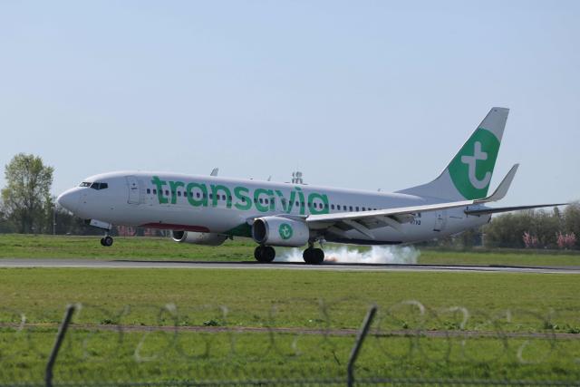 (FILES) This photograph shows a Transavia Boeing 737-800 aircraft landing at Orly Airport, south of Paris, on April 6, 2026. Transavia, the low-cost carrier of the Air France-KLM group, will adjust its scheduled flight program for May and June 2026 to optimize its costs in response to the surge in kerosene prices linked to the war in the Middle East, a spokesperson told AFP on April 26, 2026, confirming a report by RMC. (Photo by Thomas SAMSON / AFP)