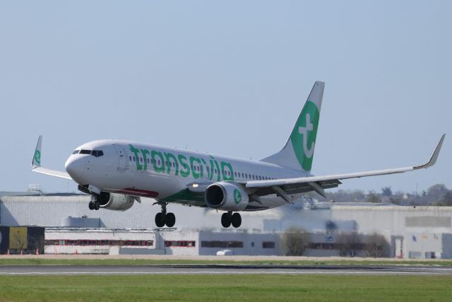 (FILES) This photograph shows a Transavia Boeing 737-800 aircraft landing at Orly Airport, south of Paris, on April 6, 2026. Transavia, the low-cost carrier of the Air France-KLM group, will adjust its scheduled flight program for May and June 2026 to optimize its costs in response to the surge in kerosene prices linked to the war in the Middle East, a spokesperson told AFP on April 26, 2026, confirming a report by RMC. (Photo by Thomas SAMSON / AFP)