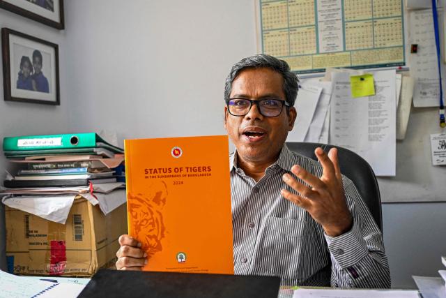 This photograph taken on April 6, 2026 shows zoology professor Mohammad Abdul Aziz displaying a publication during an interview with AFP at Jahangirnagar University in Savar. Tigers are so feared in Bangladesh's vast Sundarban mangroves that locals invoke spirits to protect against them. But experts say it is the big cats themselves that need defending. (Photo by Munir UZ ZAMAN / AFP) / TO GO WITH 'Bangladesh-Environment-Sundarbans-Tiger' FOCUS