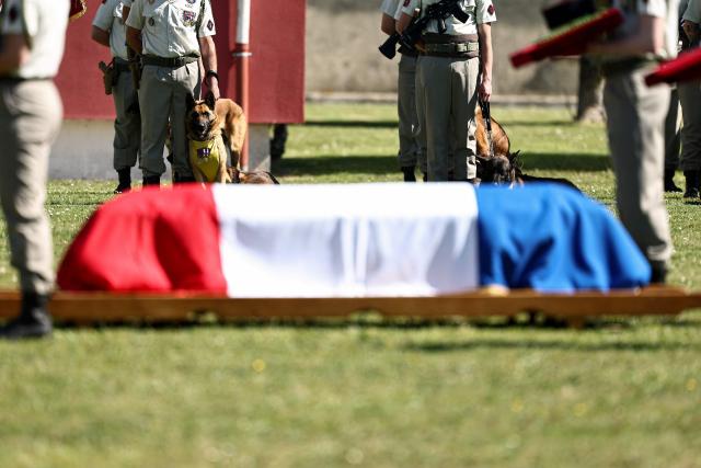 Military dogs of the 132e Regiment d'Infanterie Cynotechnique - 132e RIC (132nd Canine Infantry Regiment) sit near the coffin of French Army Staff Sergeant Anicet Girardin who died on April 22, 2026 from wounds suffered in a weekend ambush against UN peacekeepers in Lebanon, during a tribute ceremony in Suippes, eastern France on April 28, 2026. Anicet Girardin, who was posthumously promoted to sergeant, is the third French soldier to be killed since the start, on February 28, of the war waged by Israel and the United States against Iran. (Photo by Sameer AL-DOUMY / AFP)