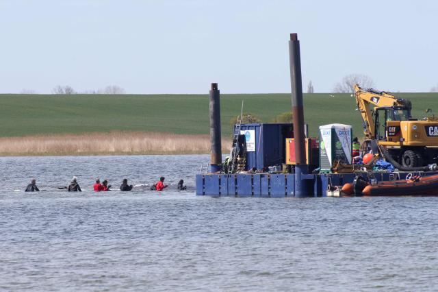 People are seen close to a stranded humpback whale, guiding the animal to a special barge intended to bring it to the North Sea, in the Wismarer Bucht bay of the Baltic Sea off the island of Poel, northern Germany, close to the village of Faehrdorf-Hof, on April 28, 2026. A fresh rescue attempt is under way for a humpback whale which has been stranded off the country's Baltic Sea coast for over a month. The 13-metre (over 40 foot) whale and its struggle for survival have gripped Germany since the sea mammal beached on a sandbank near the city of Luebeck, far from its natural habitat. After several initial attempts failed, two entrepreneurs came forward to finance a new rescue bid which will involve loading the cetacean onto a special barge and carrying it out to deeper waters. (Photo by Wojtek RADWANSKI / AFP)