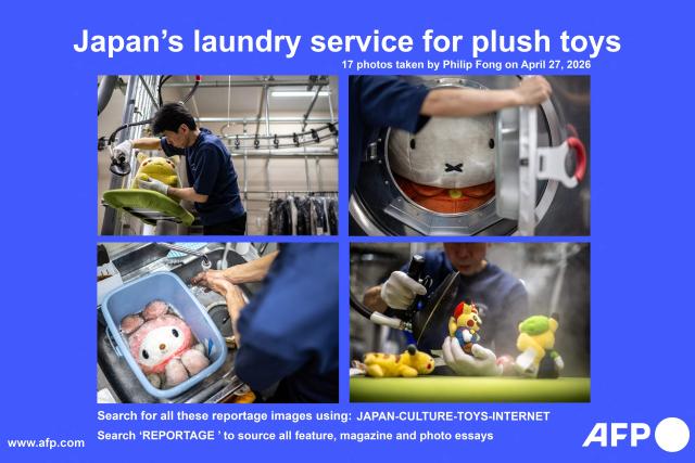 AFP presents a reportage of 17 pictures by photographer Philip Fong taken on April 27, 2026 of soft toys being cleaned by dry-cleaning professionals at the facility of Cleaning Yonmarusan in Fuefuki city of Yamanashi Prefecture. A worn-out Pikachu plushie, tired teddy bear or stained stuffed animal can all get a new lease on life at a Japanese laundry service making beloved toys squeaky clean again.
Today, the service cleans more than 10,000 soft toys every year, compared to roughly 1,200 annually a decade ago.

Search for all these reportage images using: JAPAN-CULTURE-TOYS-INTERNET
Search "REPORTAGE" to source all feature, magazine and visual stories. (Photo by Philip FONG / AFP)