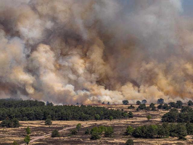 This photograph shows a wildfire on the military training ground near 't Harde and the Veluwe forest, on April 29, 2026. (Photo by Bram Van De Biezen / ANP / AFP) / Netherlands OUT