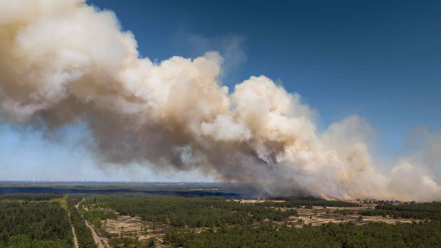This photograph shows a wildfire on the military training ground near 't Harde and the Veluwe forest, on April 29, 2026. (Photo by Bram Van De Biezen / ANP / AFP) / Netherlands OUT