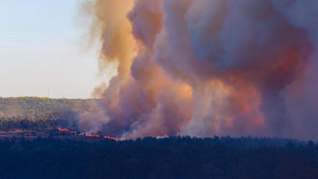 This photograph shows a wildfire on the military training ground near 't Harde and the Veluwe forest, on April 29, 2026. (Photo by Bram Van De Biezen / ANP / AFP) / Netherlands OUT