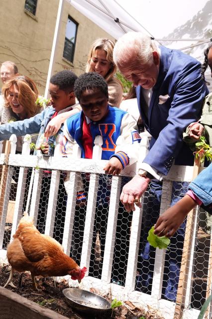 Britain's King Charles III helps feed chickens during a visit to Harlem Grown, a local community organisation and after-school initiative, in New York on April 29, 2026. (Photo by Aaron Chown / POOL / AFP)