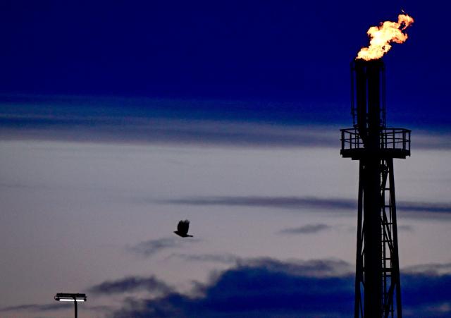 A bird flies past one of the chimneys with a flame at the PCK Schwedt refinery in Schwedt, northeastern Germany, are pictured  at the company's plant on early April 30, 2026, one day before Russia will halt the pipeline flow of Kazakh oil to Germany, citing technical reasons. The stoppage from May 1, 2026 will impact the PCK refinery, run by the German subsidiary of Russia's state-owned oil company Rosneft, that supplies much of the Berlin region and the capital's international airport with fuel. The move by Moscow comes amid Russia's war against Ukraine and a global energy crisis sparked by the US-Israeli war against Iran, which has caused major disruptions to global oil and gas markets. The German government stressed it does not expect an energy supply crunch. (Photo by Tobias SCHWARZ / AFP)