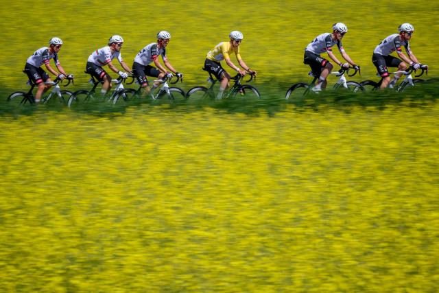 UAE Team Emirates-XRG's team members (From L) Slovenian rider Domen Novak, Portuguese rider Ivo Oliveira, Austrian rider Felix Grossschartner, UAE Slovenian rider Tadej Pogacar, French rider Pavel Sivakov and US rider Kevin Charles Vermaerke ride next to rapeseed fields during the second stage of the Tour of Romandie UCI cycling World tour, 173.1 km from Rue to Vucherens, near Vulliens, on April 30, 2026.  (Photo by Fabrice COFFRINI / AFP)