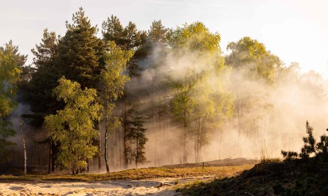 This photograph shows smoke from a wildfire rising over the Weerterheide in Limburg, southeastern Netherlands on April 30, 2026. (Photo by Iris van den Broek / ANP / AFP) / Netherlands OUT