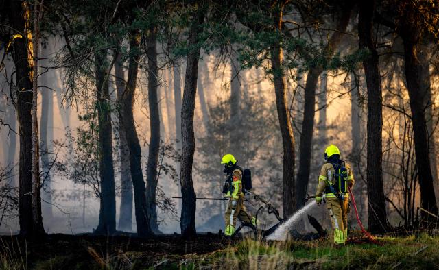 Firefighters operate during a wildfire at the Weerterheide in Limburg, southeastern Netherlands on April 30, 2026. (Photo by Iris van den Broek / ANP / AFP) / Netherlands OUT