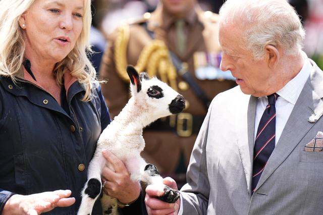 A Kerry Hill Welsh lamb, which was just born, is shown to King Charles III during a parade and block party in Front Royal, Virginia, on April 30, 2026. (Photo by Aaron Chown / POOL / AFP)
