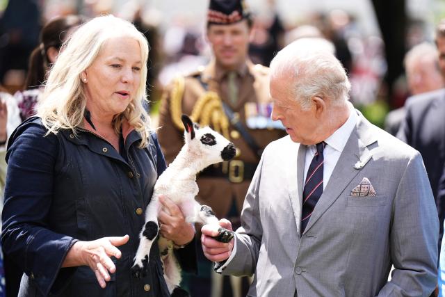 A Kerry Hill Welsh lamb, which was just born, is shown to King Charles III during a parade and block party in Front Royal, Virginia, on April 30, 2026. (Photo by Aaron Chown / POOL / AFP)