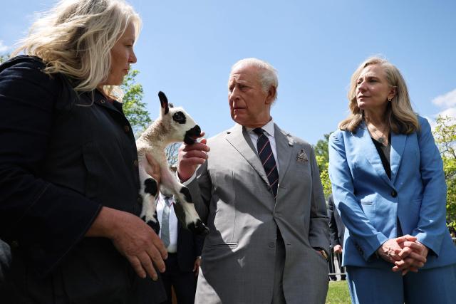 A Kerry Hill Welsh lamb, which was just born, is shown to King Charles III and Virginia Gov. Abigail Spanberger during a parade and block party in Front Royal, Virginia, on April 30, 2026. (Photo by Win McNamee / POOL / AFP)