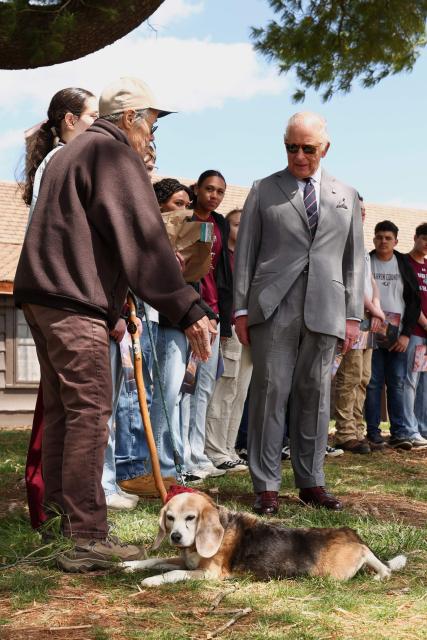 Britain's King Charles looks at the "bark ranger" ambassador beagle named Bailey as he visits Shenandoah National Park in Front Royal, Virginia, on April 30, 2026. (Photo by Kevin Lamarque / POOL / AFP)