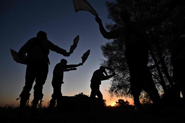 The Ashdown Forest Morris Men perform at sunrise in the Ashdown Forest, south of London on May 1, 2026. Historically, in rural Britain, May Day celebrations were associated with the fertility of spring and the start of summer. (Photo by Ben STANSALL / AFP)