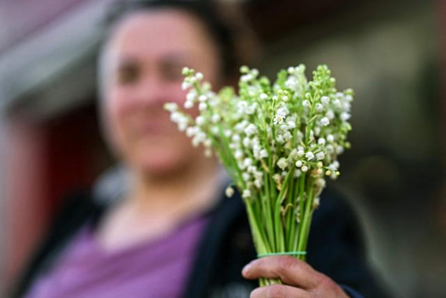 A street vendor holds a bouquet of Muguets or Lily of the Valley flowers, a flower used in France to mark May Day (Labour Day), during International Workers' Day in Beziers, southern France on May 1, 2026. (Photo by Gabriel BOUYS / AFP)