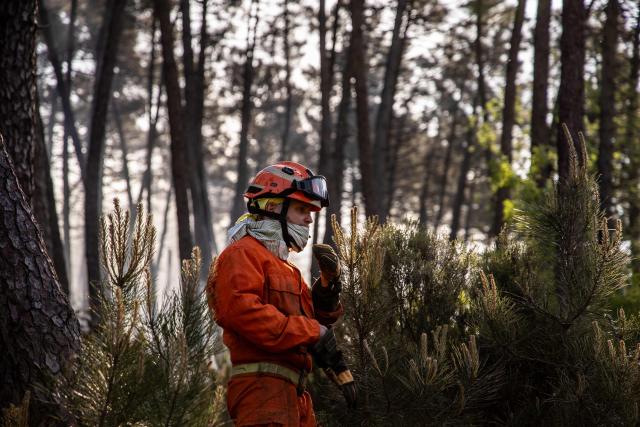 An ANPAS Volunteer fighter walks in Mount Faeta forest on the edges of a wildfire near Pisa province in Santa Maria del Giudice on May 1, 2026. Italian authorities evacuated some 3,500 people in its famed Tuscany region on May 1, 2026 as they try to tame a wildfire that has been raging for more than 24 hours. Over 800 hectares (nearly 2,000 acres) have been ravaged by the fire in the mountains between the historic cities of Lucca and Pisa. (Photo by Federico SCOPPA / AFP)