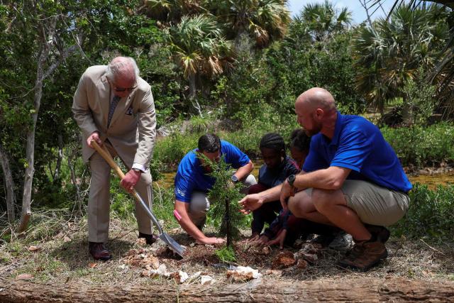 Britain's King Charles plants a tree during a visit to a ‘Living Classroom’ on Trunk Island on May 1, 2026 in Hamilton, Bermuda. King Charles III is in Bermuda for his first visit to a British Overseas Territory as Sovereign. (Photo by Suzanne Plunkett / POOL / AFP)
