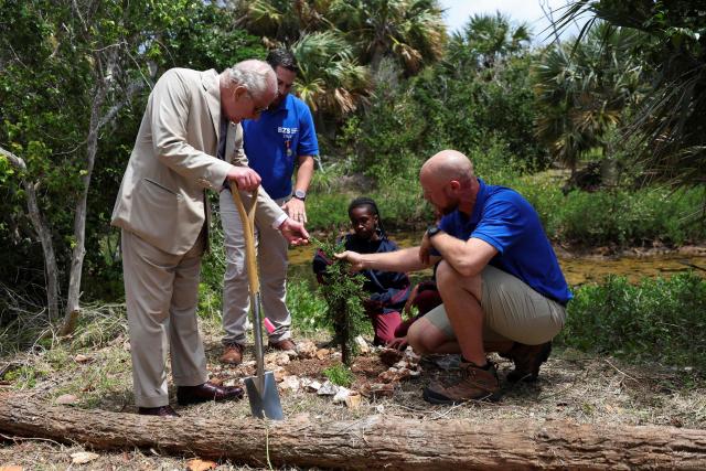 Britain's King Charles plants a tree during a visit to a ‘Living Classroom’ on Trunk Island on May 1, 2026 in Hamilton, Bermuda. King Charles III is in Bermuda for his first visit to a British Overseas Territory as Sovereign. (Photo by Suzanne Plunkett / POOL / AFP)