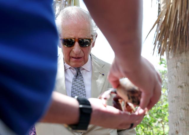 Britain's King Charles III observes students releasing hermit crabs at the Palmetto Forest during a visit to a ‘Living Classroom’ on Trunk Island on May 1, 2026 in Hamilton, Bermuda. King Charles III is in Bermuda for his first visit to a British Overseas Territory as Sovereign. (Photo by Chris Jackson / POOL / AFP)