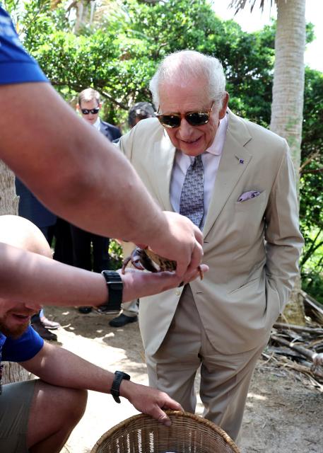 Britain's King Charles III observes students releasing hermit crabs at the Palmetto Forest during a visit to a ‘Living Classroom’ on Trunk Island on May 1, 2026 in Hamilton, Bermuda. King Charles III is in Bermuda for his first visit to a British Overseas Territory as Sovereign. (Photo by Chris Jackson / POOL / AFP)