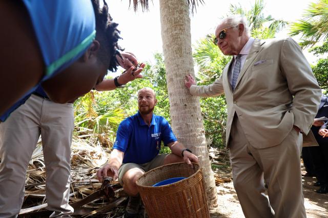Britain's King Charles talks with Bermuda Zoological Society (BZS) staff as he visits Trunk Island to speak to students at a "Living classroom", in Hamilton, Bermuda on May 1, 2026. King Charles III is in Bermuda for his first visit to a British Overseas Territory as Sovereign. (Photo by Suzanne Plunkett / POOL / AFP)