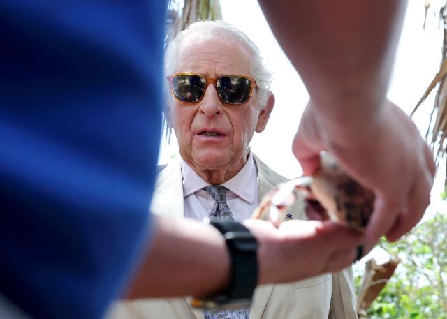 Britain's King Charles III observes students releasing hermit crabs at the Palmetto Forest during a visit to a ‘Living Classroom’ on Trunk Island on May 1, 2026 in Hamilton, Bermuda. King Charles III is in Bermuda for his first visit to a British Overseas Territory as Sovereign. (Photo by Chris Jackson / POOL / AFP)