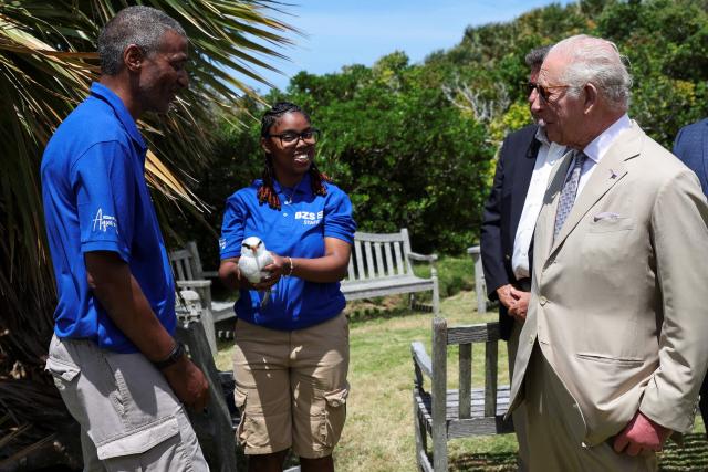 Britain's King Charles observes as Bermuda Zoological Society (BZS) staff release a bird, during his visit to a "Living classroom" in Trunk Island, in Hamilton, Bermuda on May 1, 2026. King Charles III is in Bermuda for his first visit to a British Overseas Territory as Sovereign. (Photo by Suzanne Plunkett / POOL / AFP)