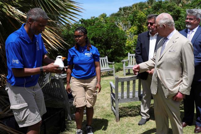 Britain's King Charles observes as Bermuda Zoological Society (BZS) staff release a bird, during his visit to a "Living classroom" in Trunk Island, in Hamilton, Bermuda on May 1, 2026. King Charles III is in Bermuda for his first visit to a British Overseas Territory as Sovereign. (Photo by Suzanne Plunkett / POOL / AFP)