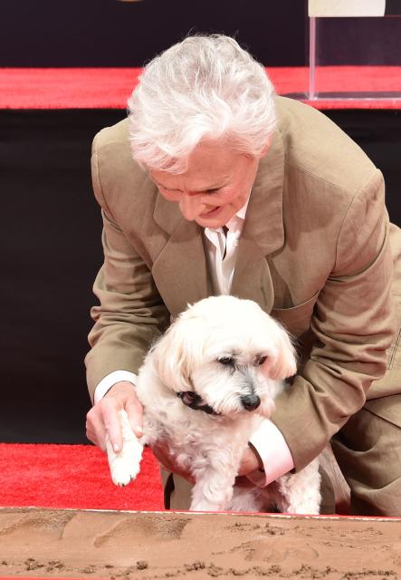 US actress Glenn Close and her dog Sir Pippin of Beanfield attend her hand and footprint ceremony at the TCL Chinese Theatre IMAX as part of the TCM Classic Film Festival in Hollywood, California on May 1, 2026. (Photo by Chris Delmas / AFP)