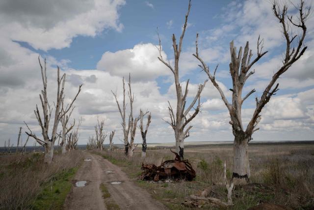This photograph shows a forest belt near the village of Dovhenke, burned during the battles for the village in 2022, in the Kharkiv region on May 1, 2026, amid the Russian invasion of Ukraine. (Photo by Ivan SAMOILOV / AFP)