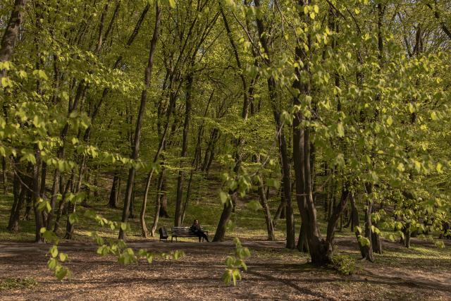 A person sits on a bench during a sunny day in a park in Kyiv, on May 2, 2026, amid the Russian invasion of Ukraine. (Photo by Roman PILIPEY / AFP)