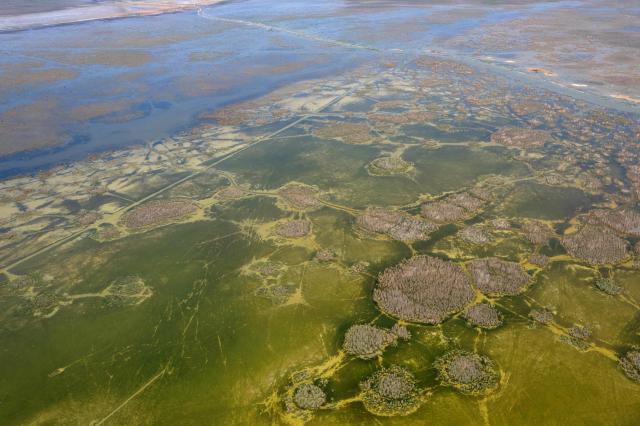 An aerial photograph shows the al-Chibayish Marches following recent rains, near the town of Al-Chibayish close to the Euphrates River in Dhi Qar governorate, southern Iraq on May 2, 2026. The Al-Chibayish Marshes are part of the larger Mesopotamian Marshes system between the Tigris and Euphrates rivers, and the largest wetlands in Southwest Asia. They are important wetlands for migratory birds, endemic birds, fish, and buffalo breeding and also home to the March Arabs. (Photo by Assad NIYAZI / AFP)