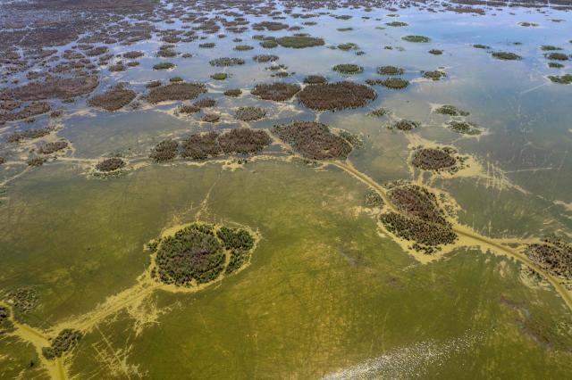 An aerial photograph shows the al-Chibayish Marches following recent rains, near the town of Al-Chibayish close to the Euphrates River in Dhi Qar governorate, southern Iraq on May 2, 2026. The Al-Chibayish Marshes are part of the larger Mesopotamian Marshes system between the Tigris and Euphrates rivers, and the largest wetlands in Southwest Asia. They are important wetlands for migratory birds, endemic birds, fish, and buffalo breeding and also home to the March Arabs. (Photo by Assad NIYAZI / AFP)