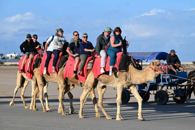 French tourists ride on camels along a lagoon in the southern Tunisian resort island of Djerba, on May 2, 2026. This year's Jewish pilgrimage on Tunisia's island of Djerba will welcome more worshippers after two years of scaled-down participation due to safety concerns, organisers said on April 14, 2026. The pilgrimage to the Ghriba synagogue, Africa's oldest, has in the past drawn thousands of pilgrims from Europe and beyond, attracting international and local tourists as well. (Photo by FETHI BELAID / AFP)