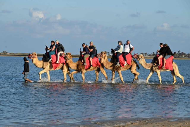 French tourists ride on camels along a lagoon in the southern Tunisian resort island of Djerba, on May 2, 2026. This year's Jewish pilgrimage on Tunisia's island of Djerba will welcome more worshippers after two years of scaled-down participation due to safety concerns, organisers said on April 14, 2026. The pilgrimage to the Ghriba synagogue, Africa's oldest, has in the past drawn thousands of pilgrims from Europe and beyond, attracting international and local tourists as well. (Photo by FETHI BELAID / AFP)