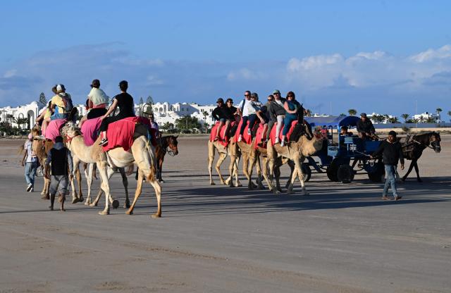 French tourists ride on camels along a lagoon in the southern Tunisian resort island of Djerba, on May 2, 2026. This year's Jewish pilgrimage on Tunisia's island of Djerba will welcome more worshippers after two years of scaled-down participation due to safety concerns, organisers said on April 14, 2026. The pilgrimage to the Ghriba synagogue, Africa's oldest, has in the past drawn thousands of pilgrims from Europe and beyond, attracting international and local tourists as well. (Photo by FETHI BELAID / AFP)
