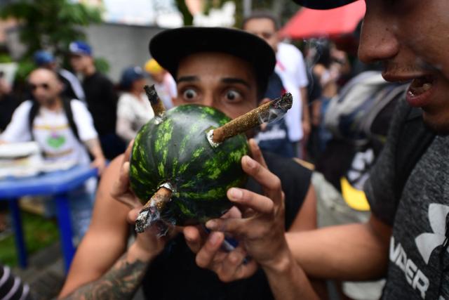 A man smokes joints inserted into a watermelon during the World Marijuana March in Medellin, Colombia, on May 2, 2026. (Photo by Jaime SALDARRIAGA / AFP)