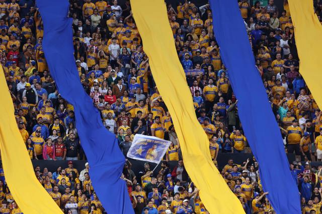 Fans of Tigres cheer for their team during the Mexican League quarterfinal first leg football match between Tigres and Guadalajara at the Universitario stadium in Monterrey, Nuevo Leon state, Mexico on May 2, 2026. (Photo by Julio Cesar AGUILAR / AFP)